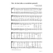 Produktbild des Artikels Noten - Download, Herr, du hast alles so wunderbar gemacht