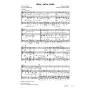 Produktbild des Artikels Noten - Download, Vater, deine Liebe / I Will Sing Your Praises (Bläserpartitur)