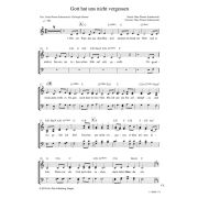 Produktbild des Artikels Noten - Download, Gott hat uns nicht vergessen
