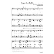 Produktbild des Artikels Noten - Download, Dir gebührt die Ehre / Vi vill ge dig Aera
