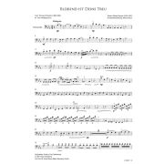 Produktbild des Artikels Noten - Download, Bleibend ist deine Treu / Great is thy Faithfulness (Violoncello)