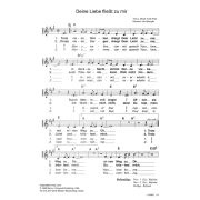 Produktbild des Artikels Noten - Download, Deine Liebe fließt zu mir / Holy Love