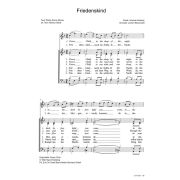 Produktbild des Artikels Noten - Download, Friedenskind / Peace Child
