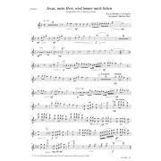 Produktbild des Artikels Noten - Download, Jesus, mein Herr, wird immer mich lieben / Now I Belong To Jesus (Vionile 1)