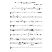 Produktbild des Artikels Noten - Download, Jesus, mein Herr, wird immer mich lieben / Now I Belong To Jesus (Voline 2)