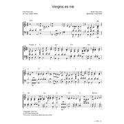 Produktbild des Artikels Noten - Download, Vergiss es nie / I Got You