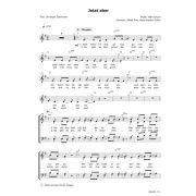 Produktbild des Artikels Noten - Download, Jetzt aber