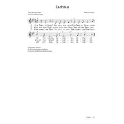Produktbild des Artikels Noten - Download, Zachäus / Zacheüs