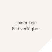 Jesus wir feiern dich