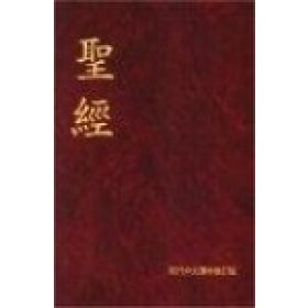 Bibel Chinesisch - modern