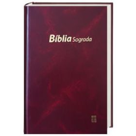 Bibel portugiesisch