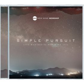 Simple Pursuit (Live)