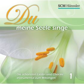 Du meine Seele singe