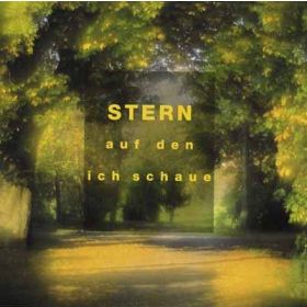 Produktbild des Artikels MP3-Album - Download Stern, auf den ich schaue