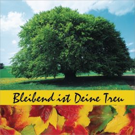 Bleibend ist deine Treu