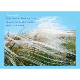 Postkarte "Verwobenheit Wind streicht durch die Gräser..." - 5 Stück