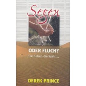Produktbild des Artikels Buch - Paperback Segen oder Fluch?
