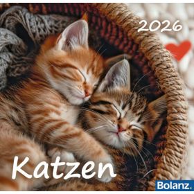 Produktbild des Artikels Katzen 2026 - Tischkalender (Kalender - Spiralbindung)
