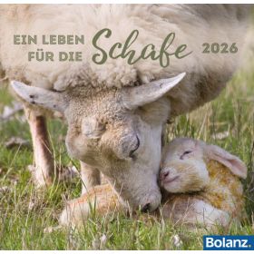 Produktbild des Artikels Ein Leben für die Schafe 2026 - Tischkalender (Kalender - Spiralbindung)