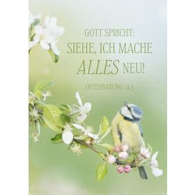 Produktbild des Artikels Jahreslosung 2026 - Postkarten "Vogel" 12 Stück (Schreibwaren)