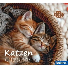 Produktbild des Artikels Katzen 2026 - Minikalender (Kalender - Spiralbindung)