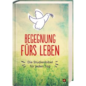 Begegnung fürs Leben, Motiv "Taube"