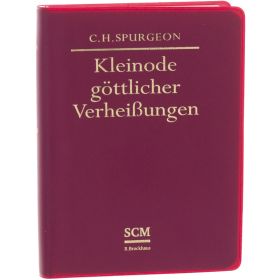 Produktbild des Artikels Kleinode göttlicher Verheißungen (Buch - Plastik)