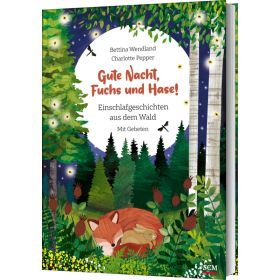 Produktbild des Artikels Buch - Gebunden Gute Nacht, Fuchs und Hase!
