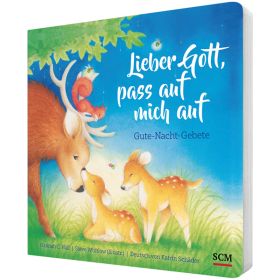 Produktbild des Artikels Buch - Pappbilderbuch Lieber Gott, pass auf mich auf