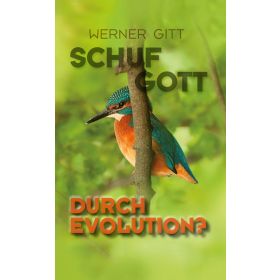 Schuf Gott durch Evolution?