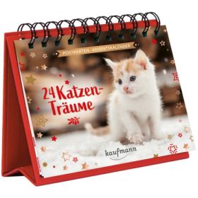 24 Katzenträume - Adventskalender