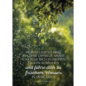 Produktbild des Artikels Schreibwaren Postkarten: Mein geliebtes Kind, 4 Stück