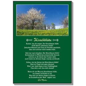 Postkarten: Kirschblüte, 4 Stück