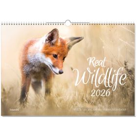 Produktbild des Artikels Real Wildlife 2026 - Wandkalender (Kalender - Spiralbindung)