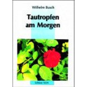 Tautropfen am Morgen