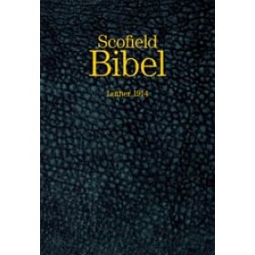 Scofield Bibel - Goldschnitt