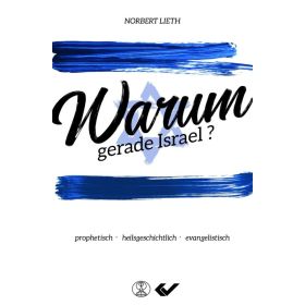 Produktbild des Artikels Buch - Paperback Warum gerade Israel?