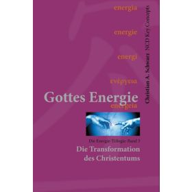 Gottes Energie Bd. 3
