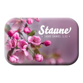Produktbild des Artikels Magnet - Staune ()