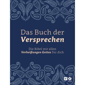 Produktbild des Artikels E-Book - ePUB Datei Das Buch der Versprechen