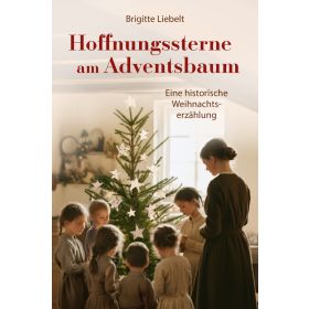Produktbild des Artikels Hoffnungssterne am Adventsbaum (E-Book - ePUB Datei)