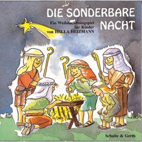 Produktbild des Artikels MP3-Track - Download Die sonderbare Nacht