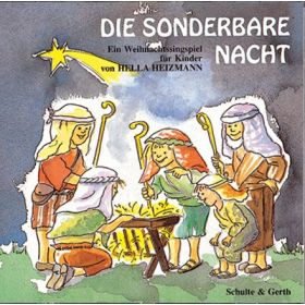 Die sonderbare Nacht