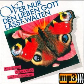 Produktbild des Artikels O komm, du Geist der Wahrheit (MP3-Track - Download)