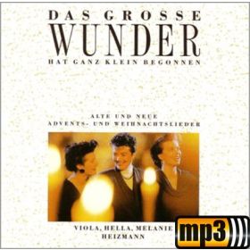 Produktbild des Artikels MP3-Album - Download Das große Wunder hat ganz klein begonnen