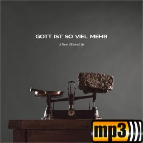 Produktbild des Artikels MP3-Track - Download Wenn ich fall