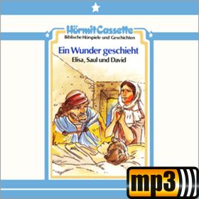 Produktbild des Artikels Ein Wunder geschieht - Elisa, Saul und David - Folge 10 (MP3-Hörspiel - Download)