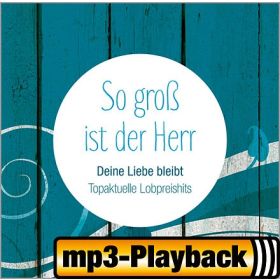 Zehntausend Gründe (Playback ohne Backings)