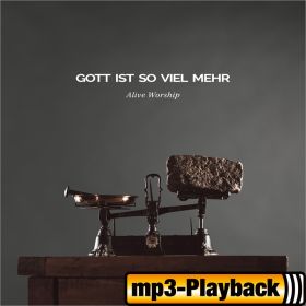 Produktbild des Artikels MP3-Track - Download Wenn ich fall (Playback ohne Backings)