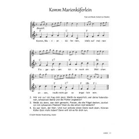 Komm Marienkäferlein